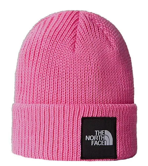 gorra The North Face Explore - Gamma Pink