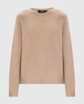 Max Mara Weekend GHIACCI brown jumper