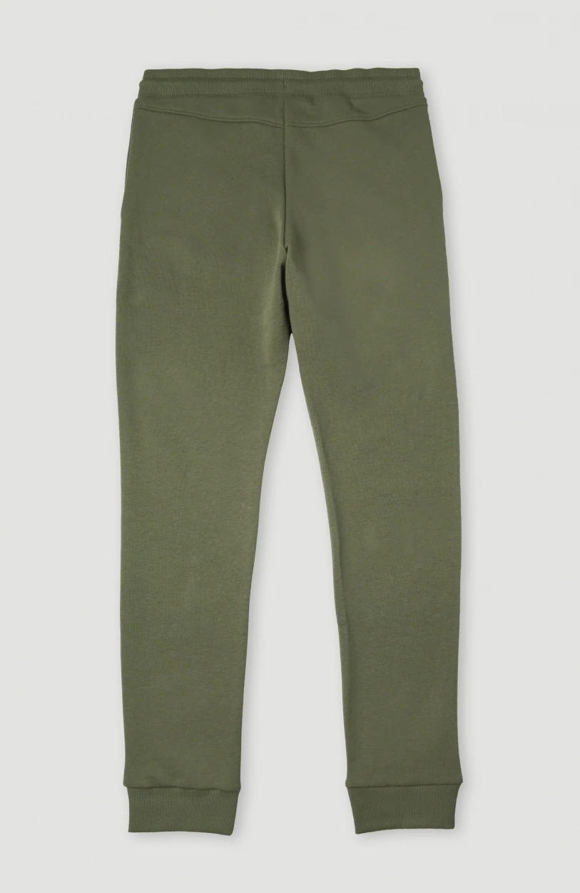 Pantalón Chándal O’NEILL niño deportivo ALL YEAR JOGGER PANTS green Ref. 4550002 verde logo pierna