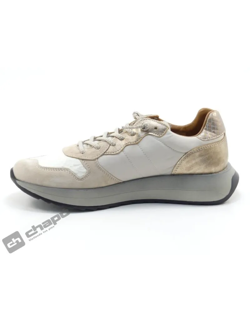 Zapatillas Deportiva Hielo Cetti C-1371 Sra Stok